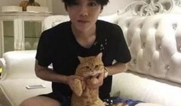 鹿晗女友爆料后续视频